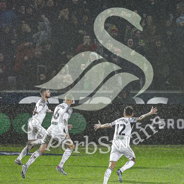 @superbswans
