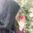 @ishmalmeher
