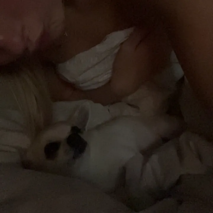 emiliaheldemar153