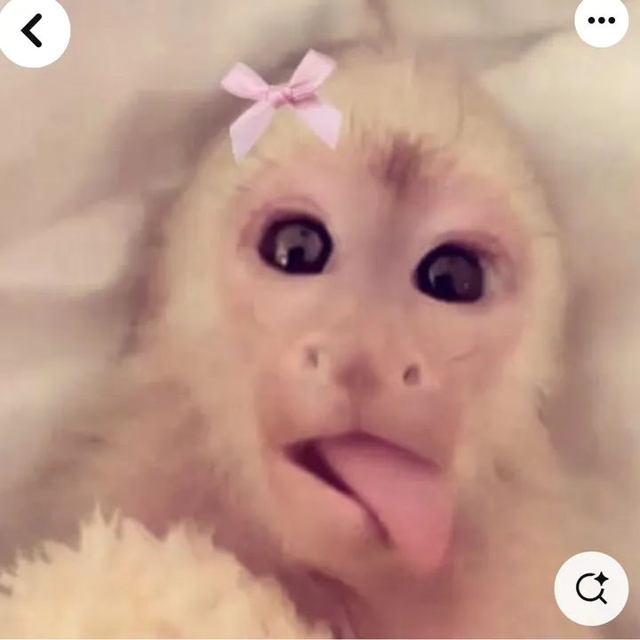 @secret.acc.xoxo70