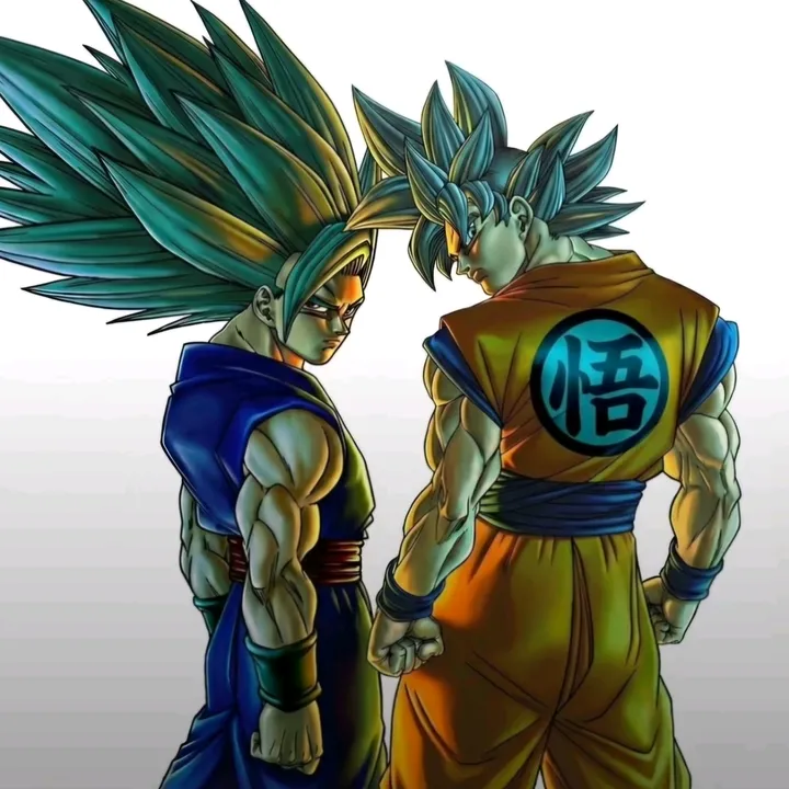 @dragonball_kollektion