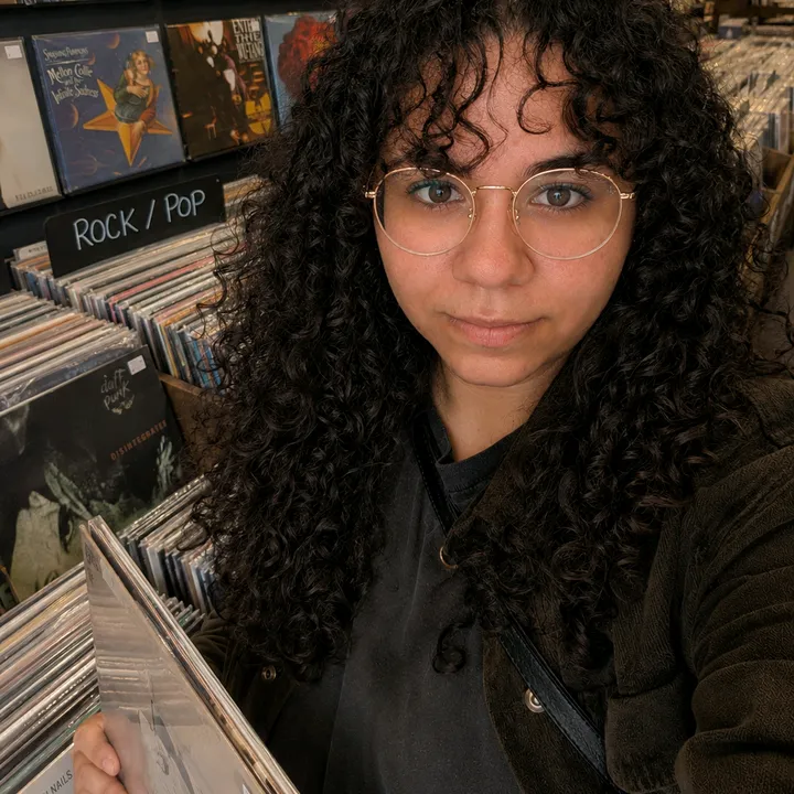 @myvinylverse