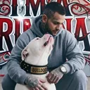 @daxter_the_bulldog