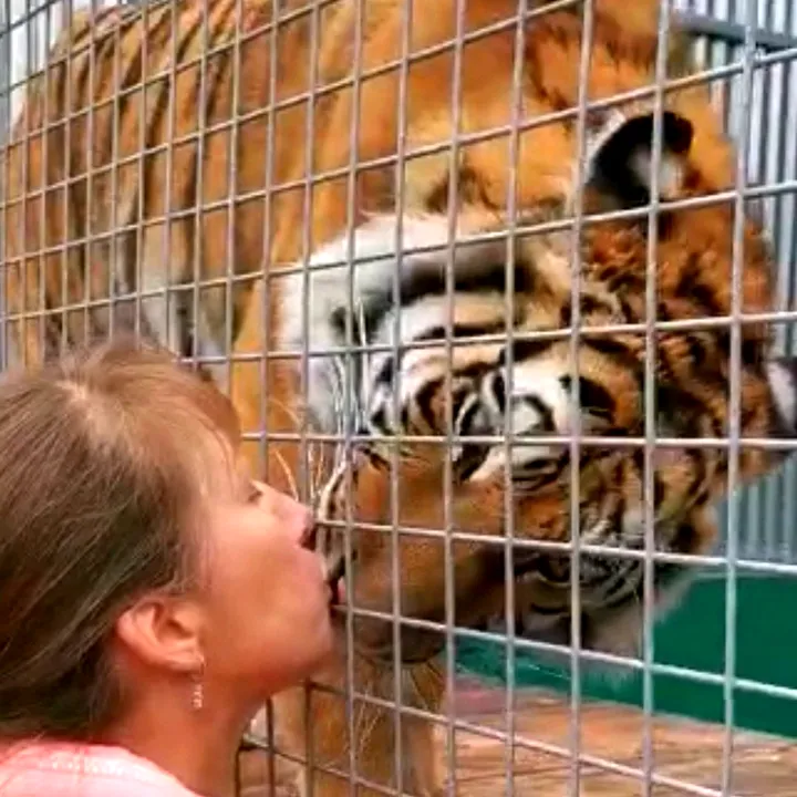 @heart_4_animals