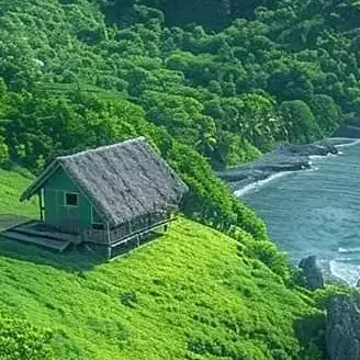 mountain_lover58599