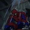 thepainfulltruthh