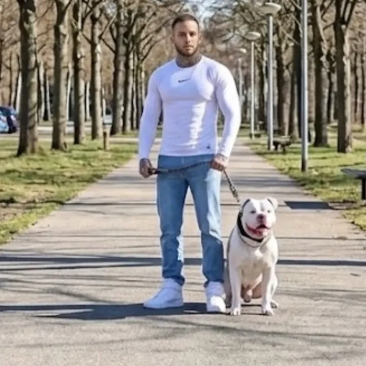 @daxter_the_bulldog
