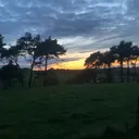 @emmadougan22