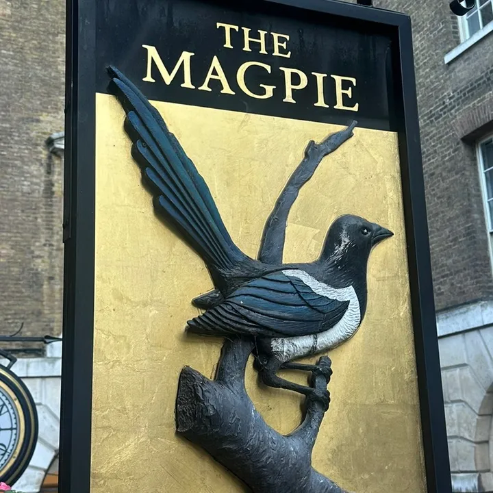 @themagpie.livstreet