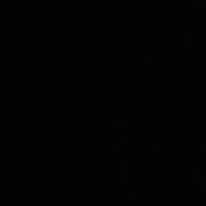 @user883646381