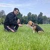 beagle.adventures