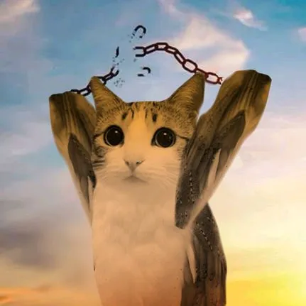 theoneandonlyreal_meowl