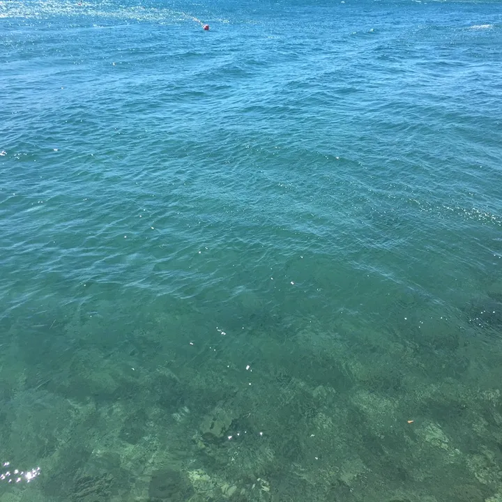 bleu.adria
