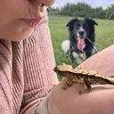 @pawsandcreepycrawlers