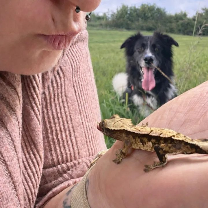 @pawsandcreepycrawlers