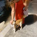 @asii12311