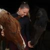 letynnxhorses