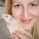 @thecuriousrats
