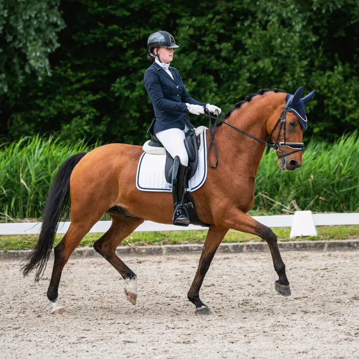 @lvdp_equestrian
