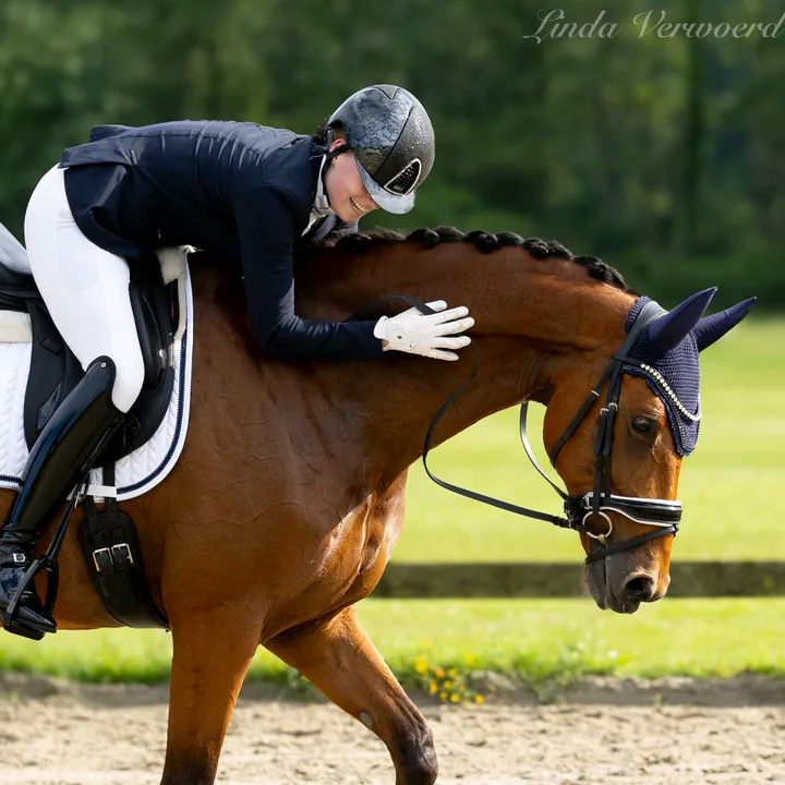 @lvdp_equestrian