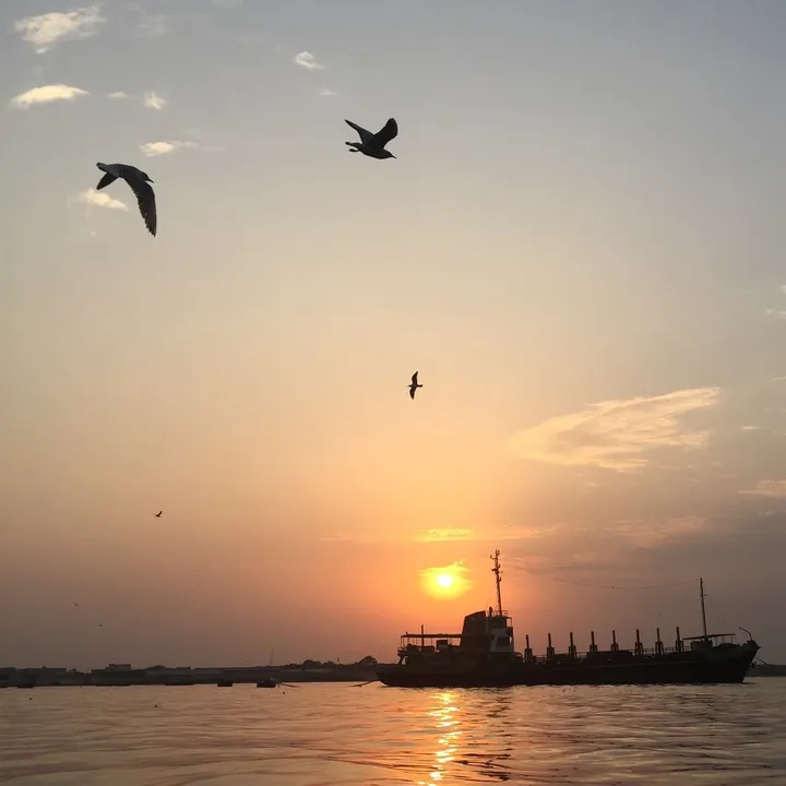 tripclips_trip