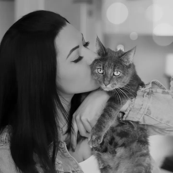 @happykittycats_