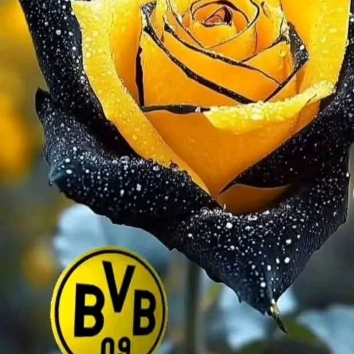 @die_tante_naddell