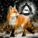 @skyl1ght_fox