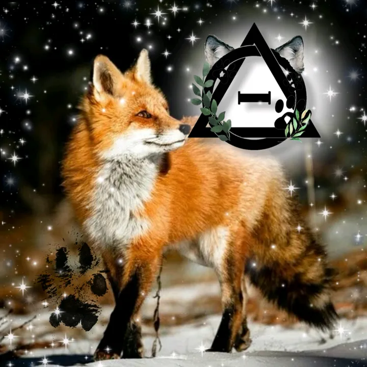 @skyl1ght_fox