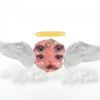 .eliassh1tz_