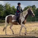 @icklepoppet