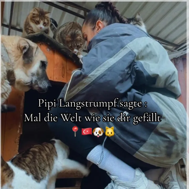@dogoargentino_mami