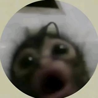 @qvvqjq