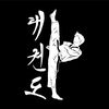 taekwond0vids
