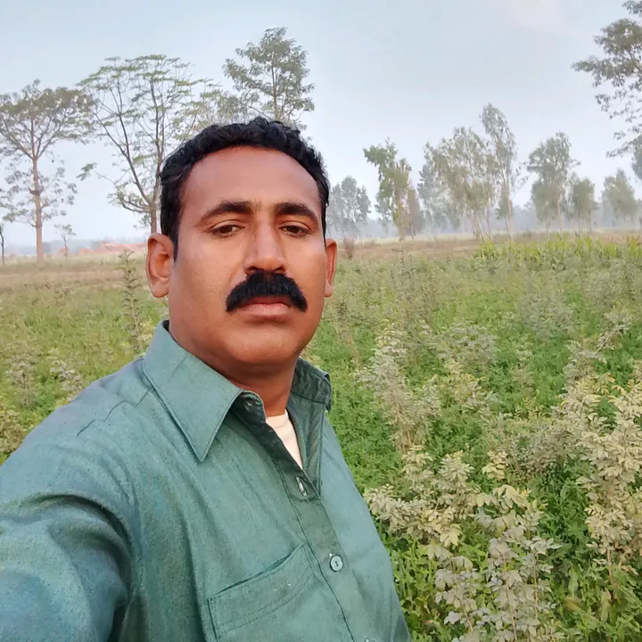 @muhammadamanullahramzan1