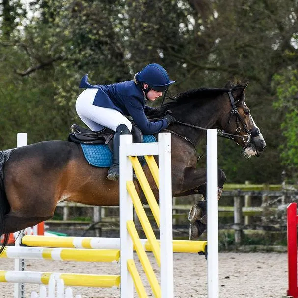 @bgshowjumping