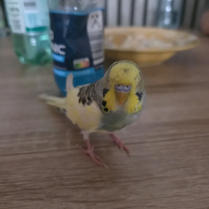 @twity423