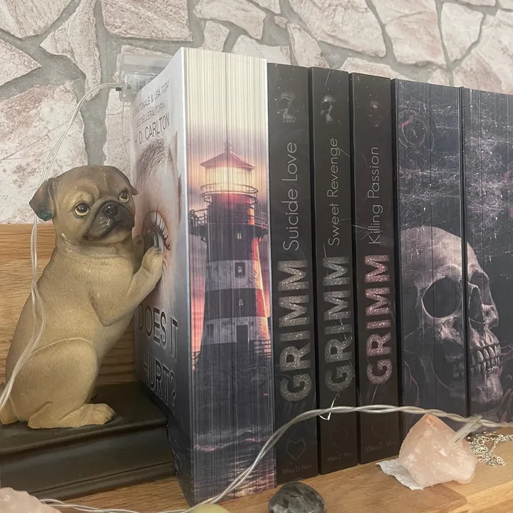 @booktok.tina