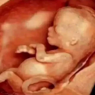 @smartdoctor05