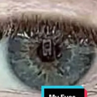 @asexualaut