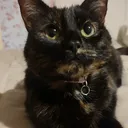 @annamarie_s