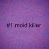moidsmustbekilled