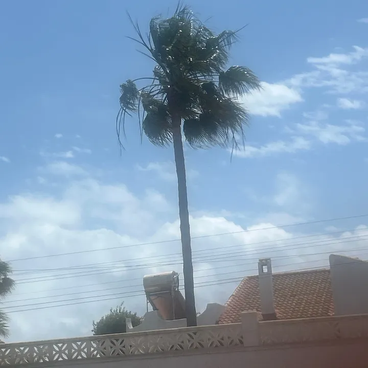 lauramrlr