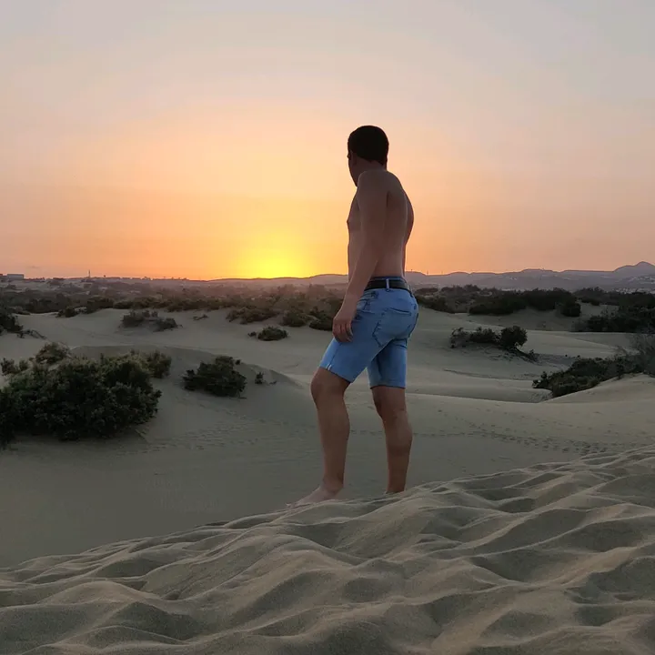 @bas.van.den.hoogen