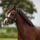 @anouk_emaus