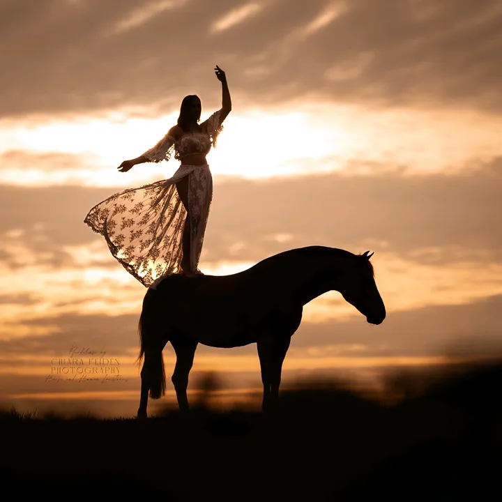 @hearthhorses