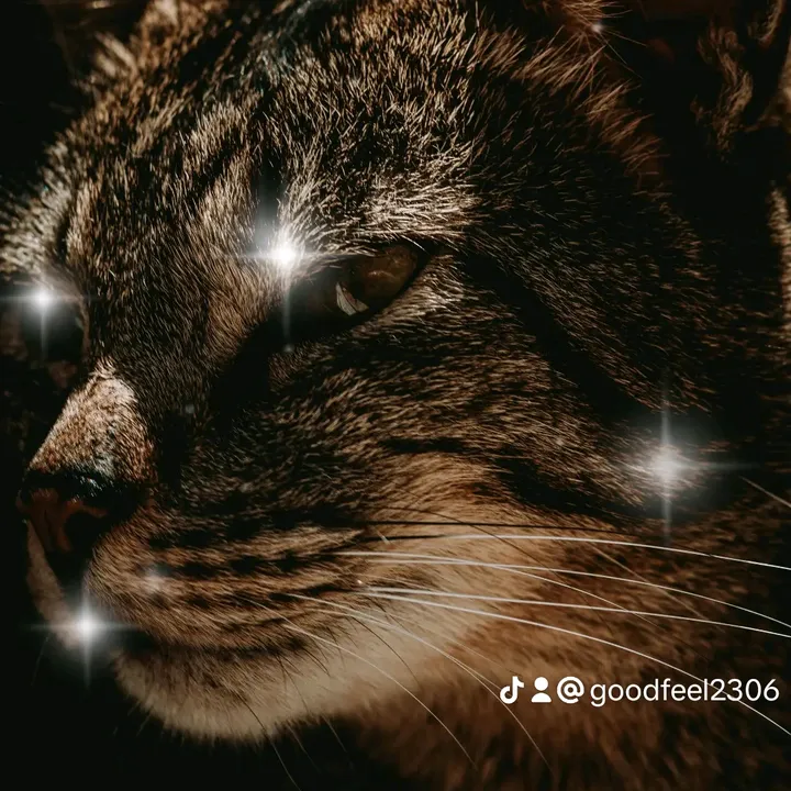 goodfeel2306