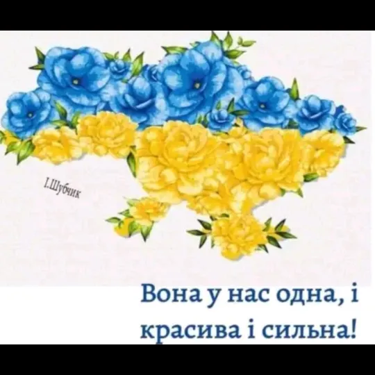 @user49033926136100
