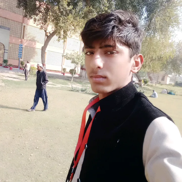 @usmanladla74