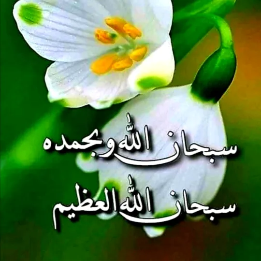 @ranaraza1361
